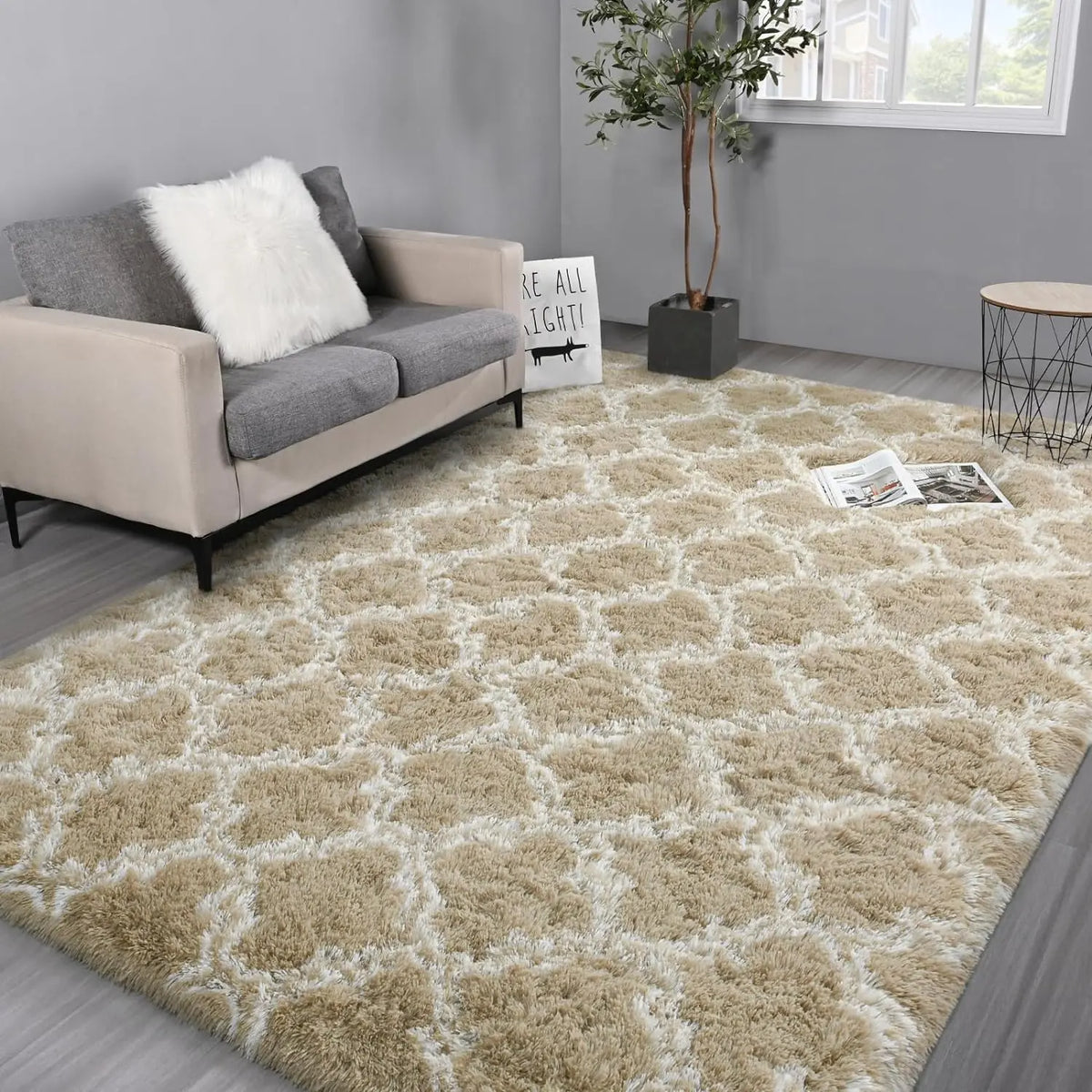 Shag Area Rugs for Bedroom & Living Room, Ultra Soft Fluffy Area Rugs for Dorm, Indoor Carpets, Nursery Rugs for Kids, Home Decorative Rugs