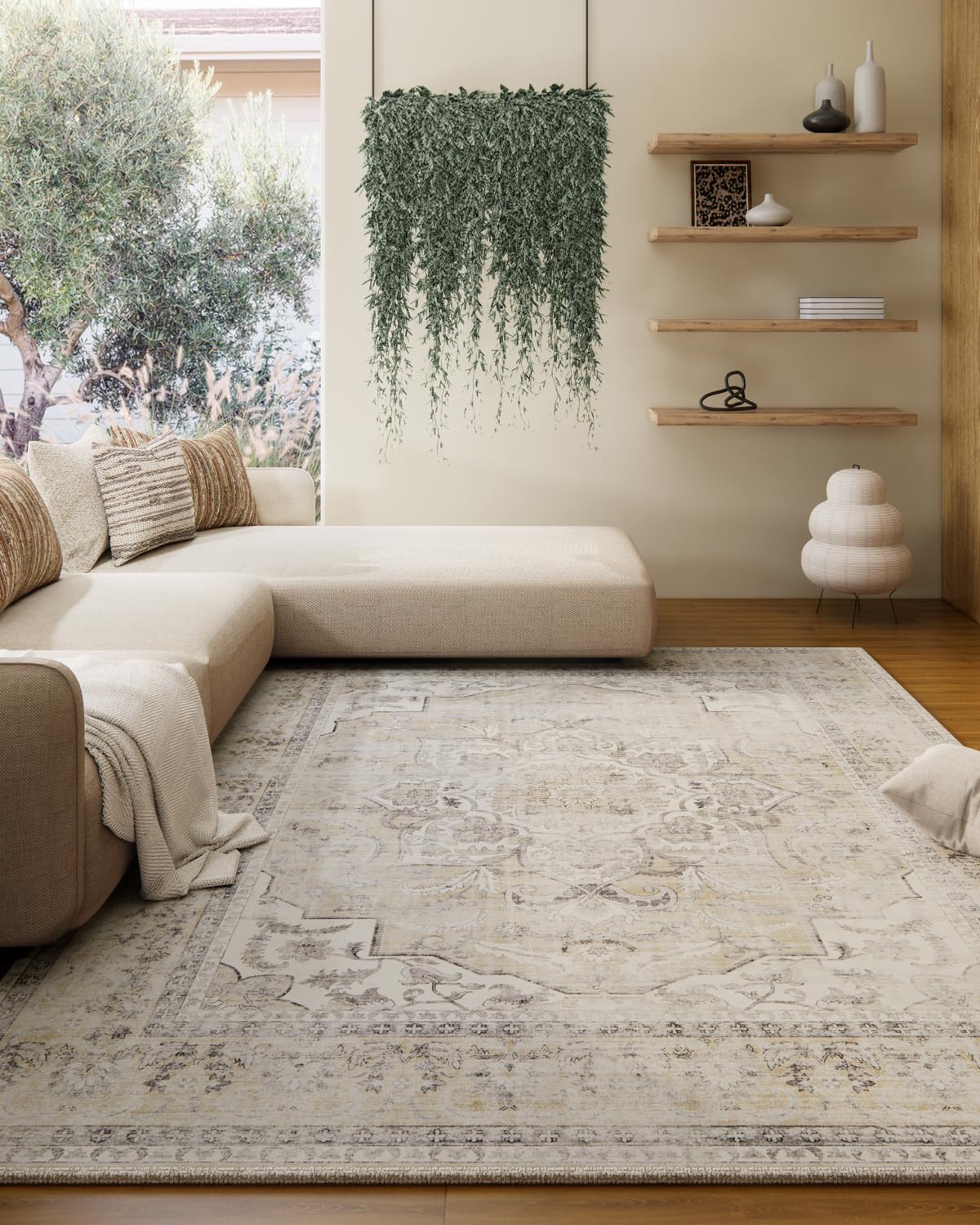5x7 Area Rug for Living Room: Washable Bedroom Rug Non Slip Low Pile Carpet