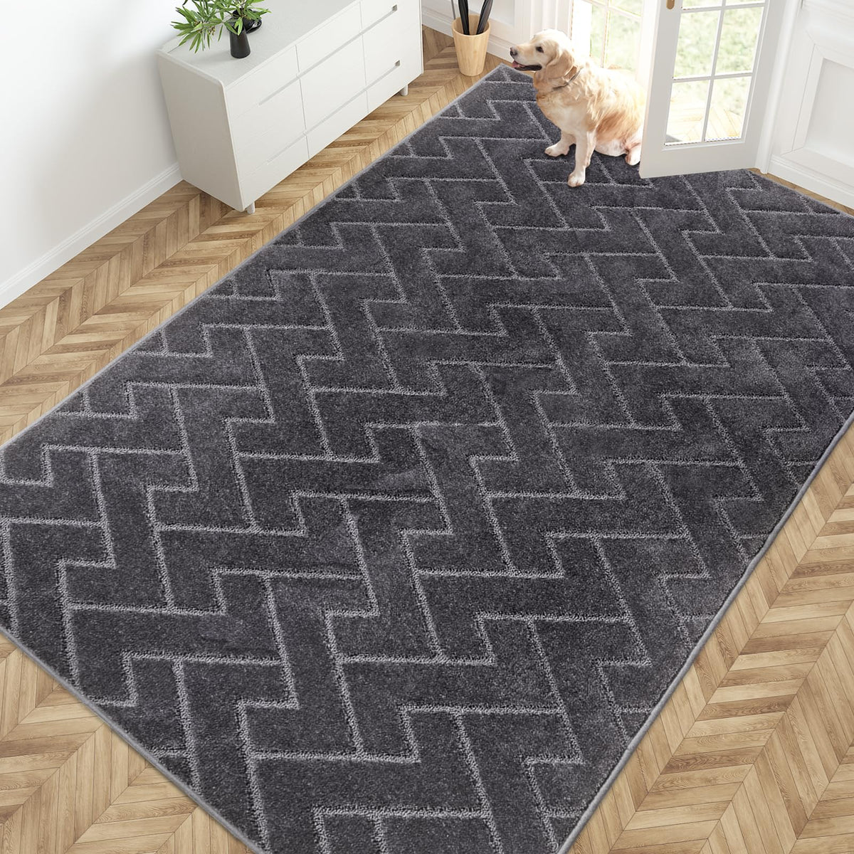 PURRUGS Dirt Trapping Door Mat Indoor Entrance, 20" x 31.5", Grey