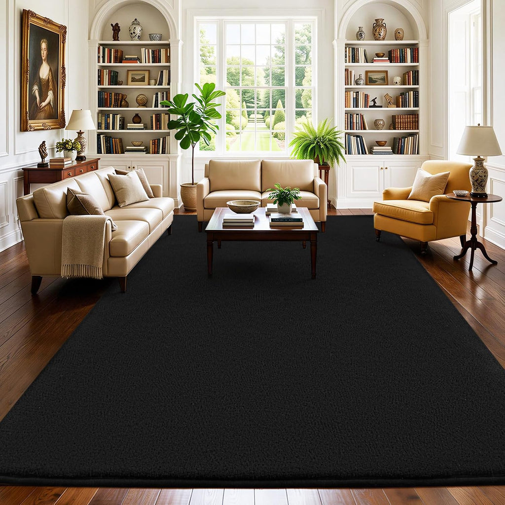 4x6 Black Area Rugs for Living Room, Non-Shedding Memory Foam Carpet
