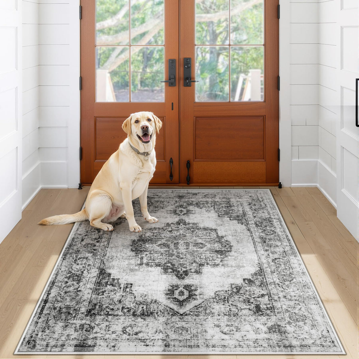 Area Rug 5x7 Vintage Rug: Washable Indoor Medallion Rugs Low Pile Distressed Floor Carpet Retro Accent Rug for Living Room Bedroom Kitchen Dining Table Home Office(Beige, 5'x7')