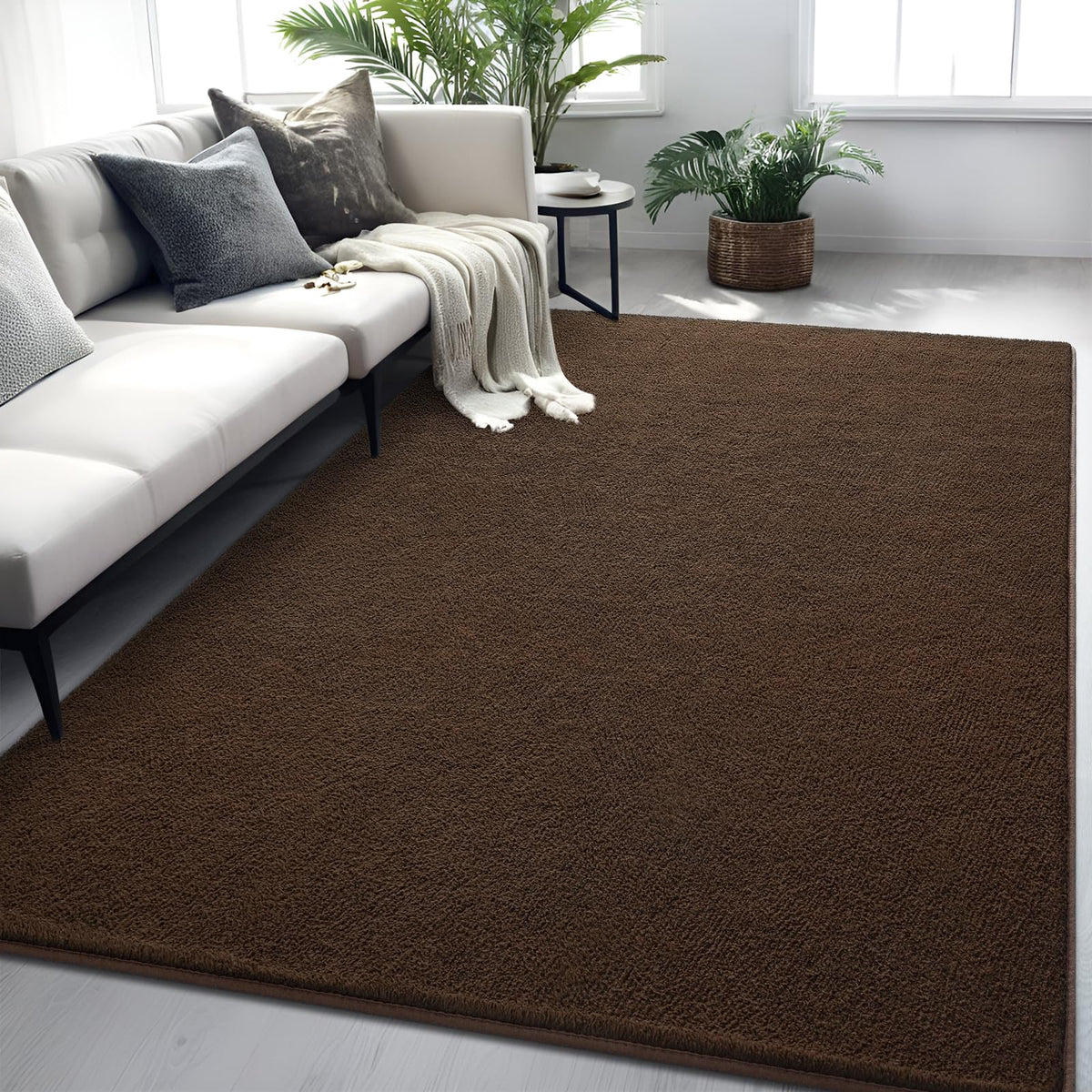 4x6 Grey Area Rug Modern Aesthetic Minimalist