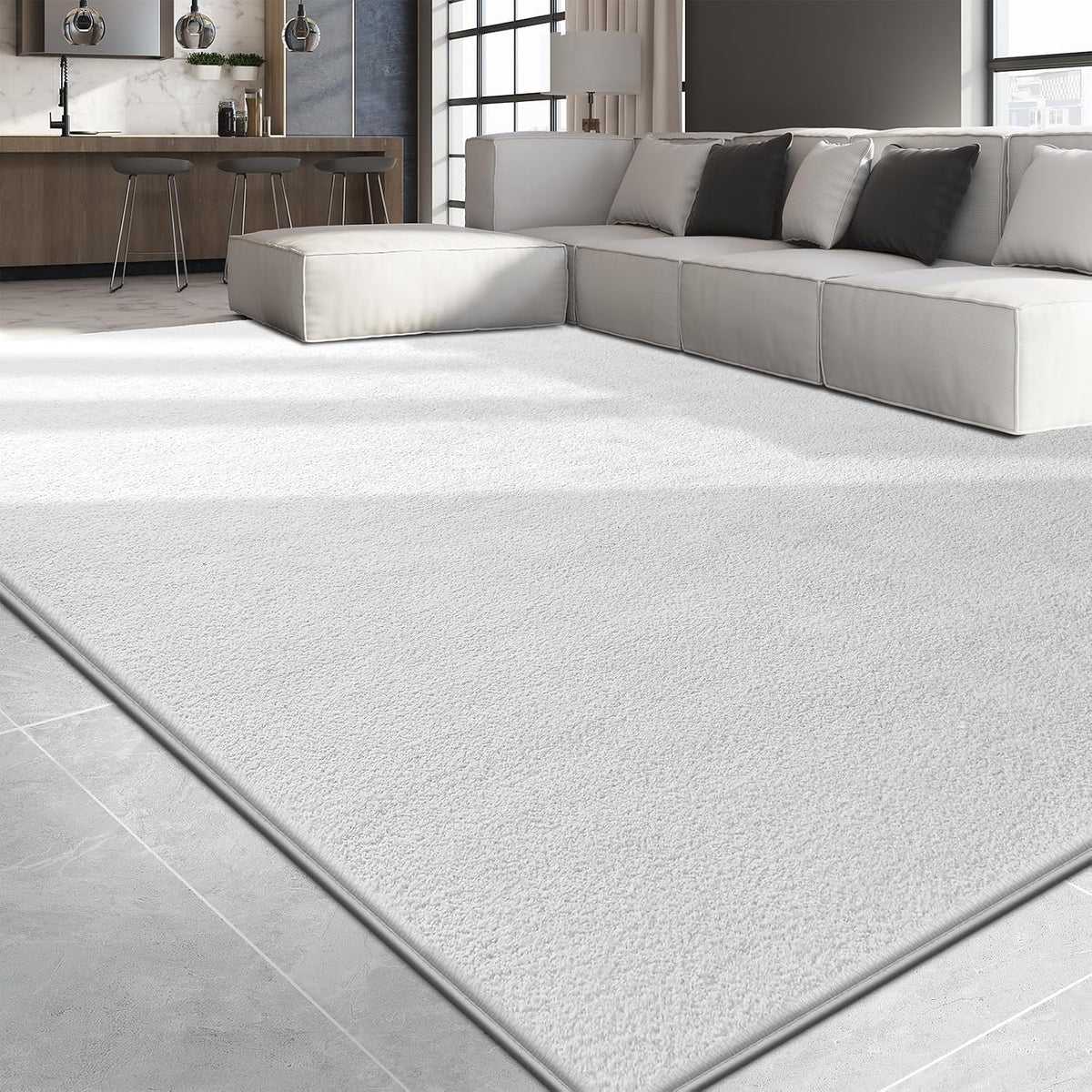 Large Area Rugs for Living Room Bedroom, Minimalist Modern Shag Rug, Soft