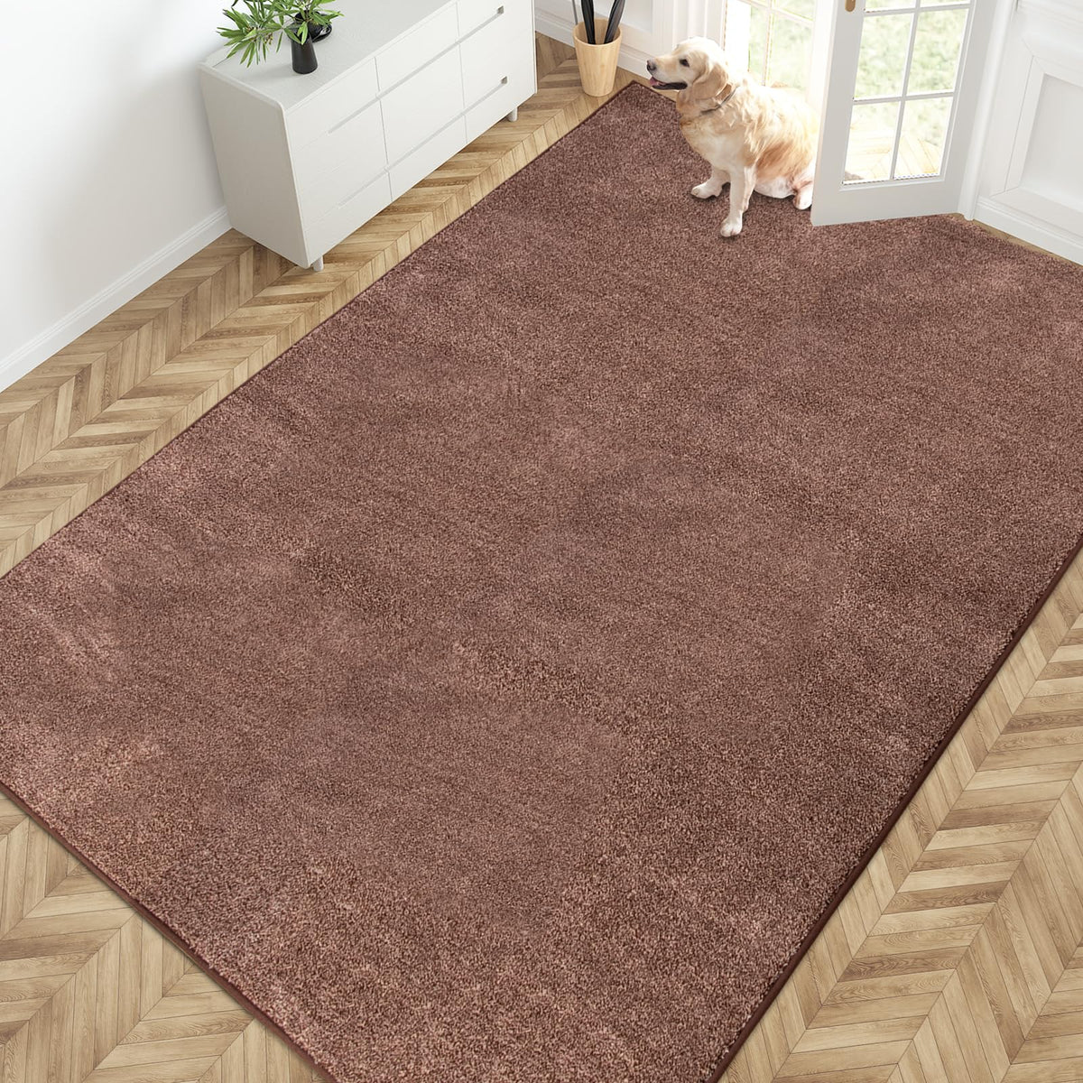 PURRUGS Dirt Trapping Indoor Door Mat, 20" x 31.5", Bluish Grey-Black