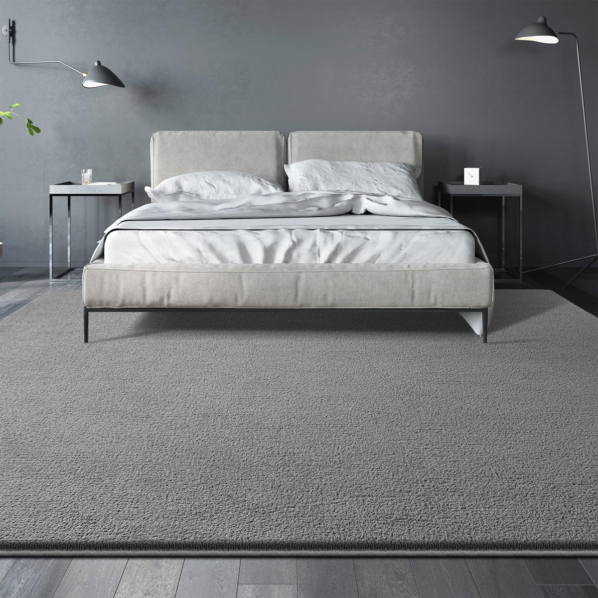 Large Area Rugs for Living Room Bedroom, Minimalist Modern Shag Rug, Soft