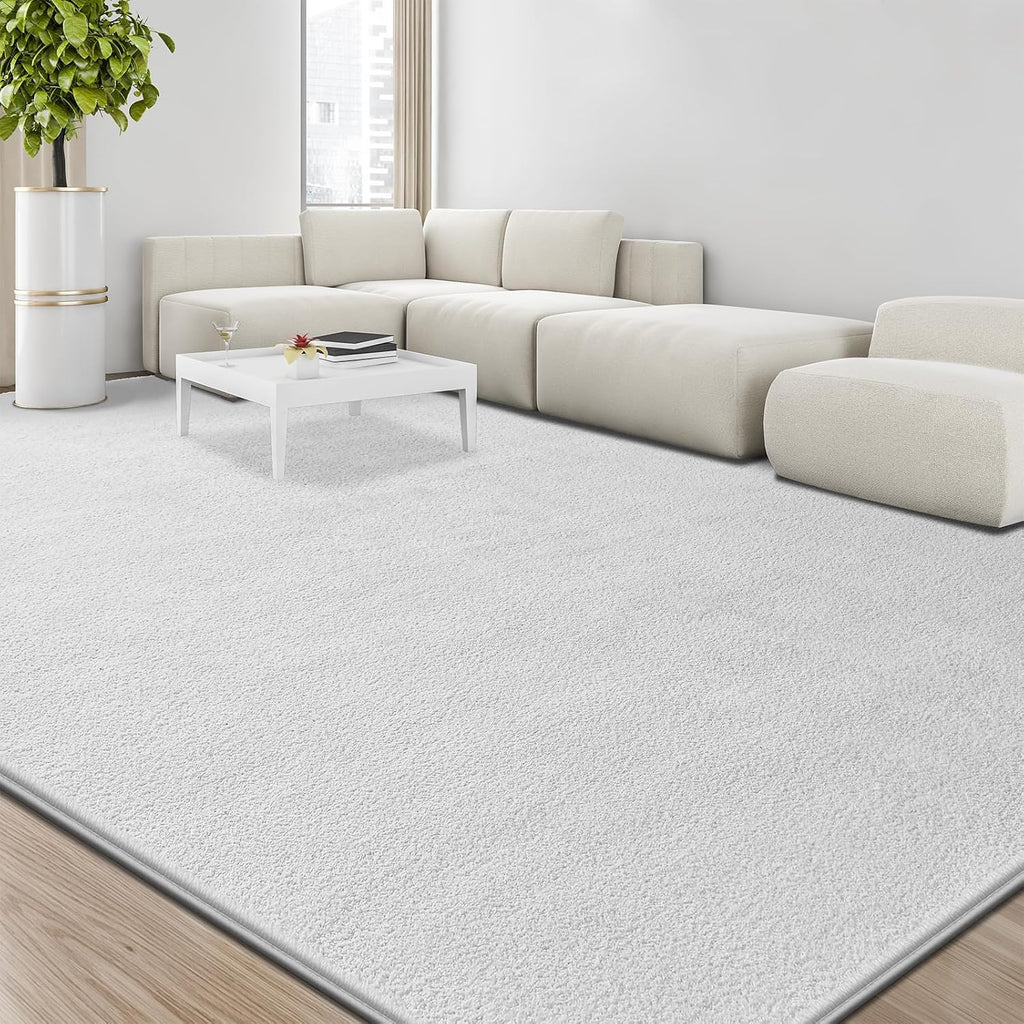 Large Area Rugs for Living Room Bedroom, Minimalist Modern Shag Rug, Soft