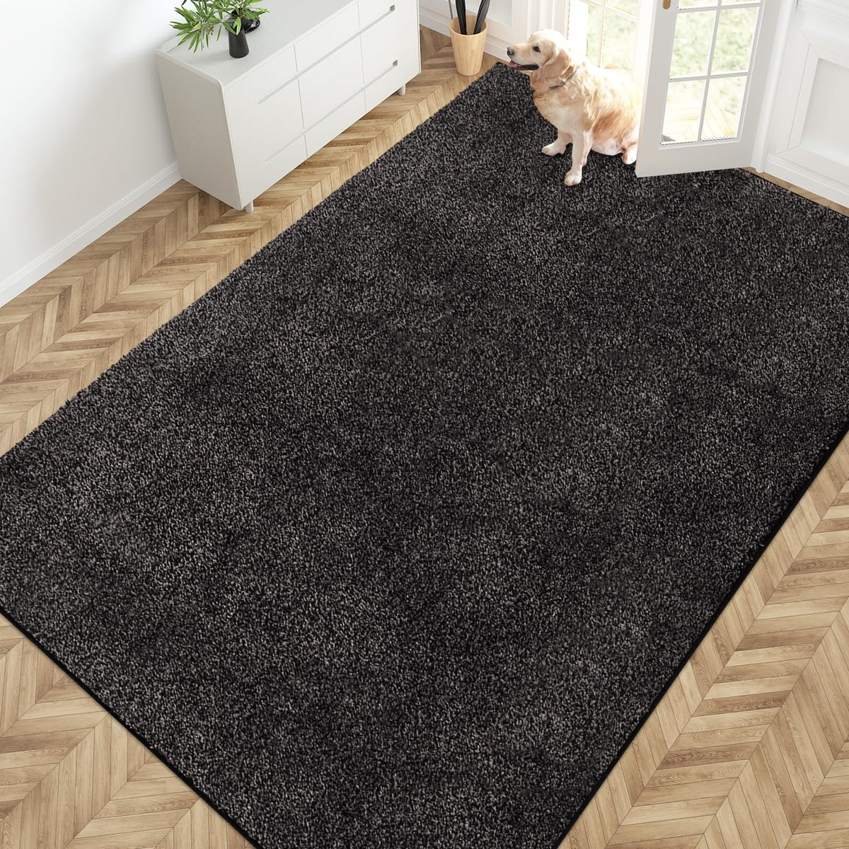 PURRUGS Dirt Trapping Indoor Door Mat, 20" x 31.5", Bluish Grey-Black