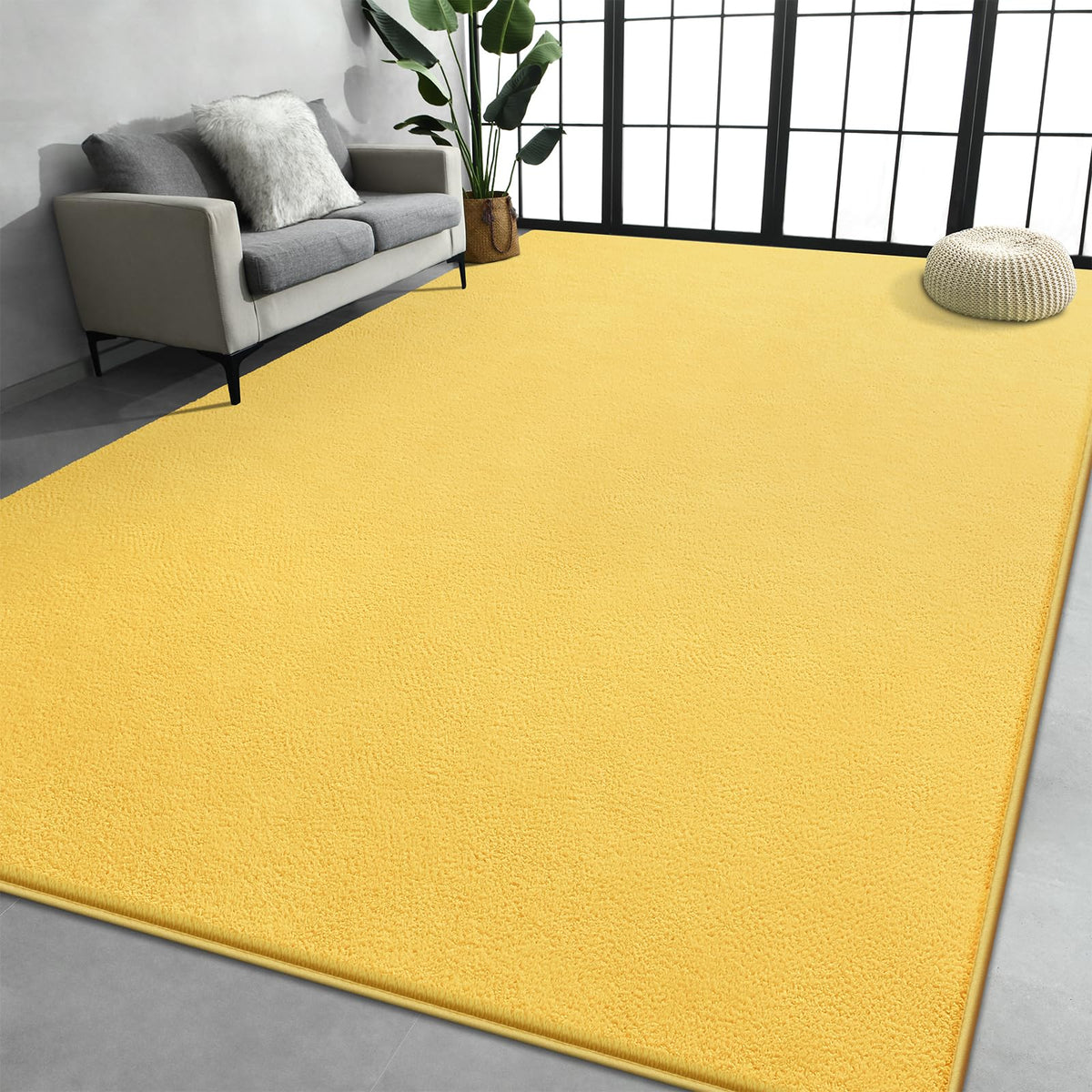 Large Area Rugs for Living Room Bedroom, Minimalist Modern Shag Rug, Soft