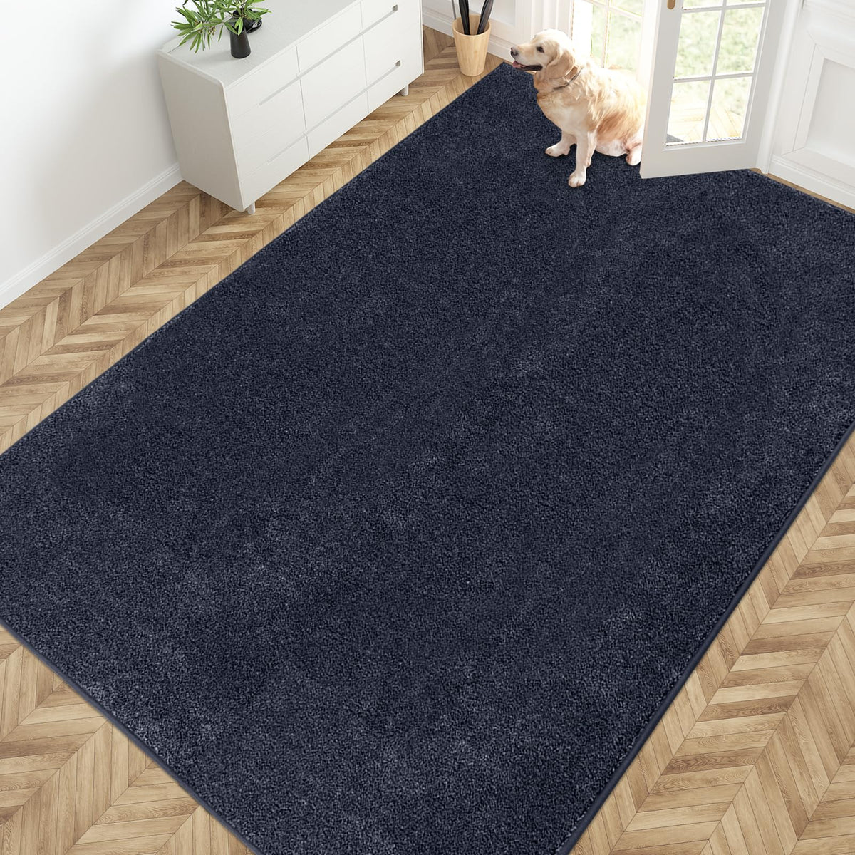 PURRUGS Dirt Trapping Indoor Door Mat, 20" x 31.5", Bluish Grey-Black