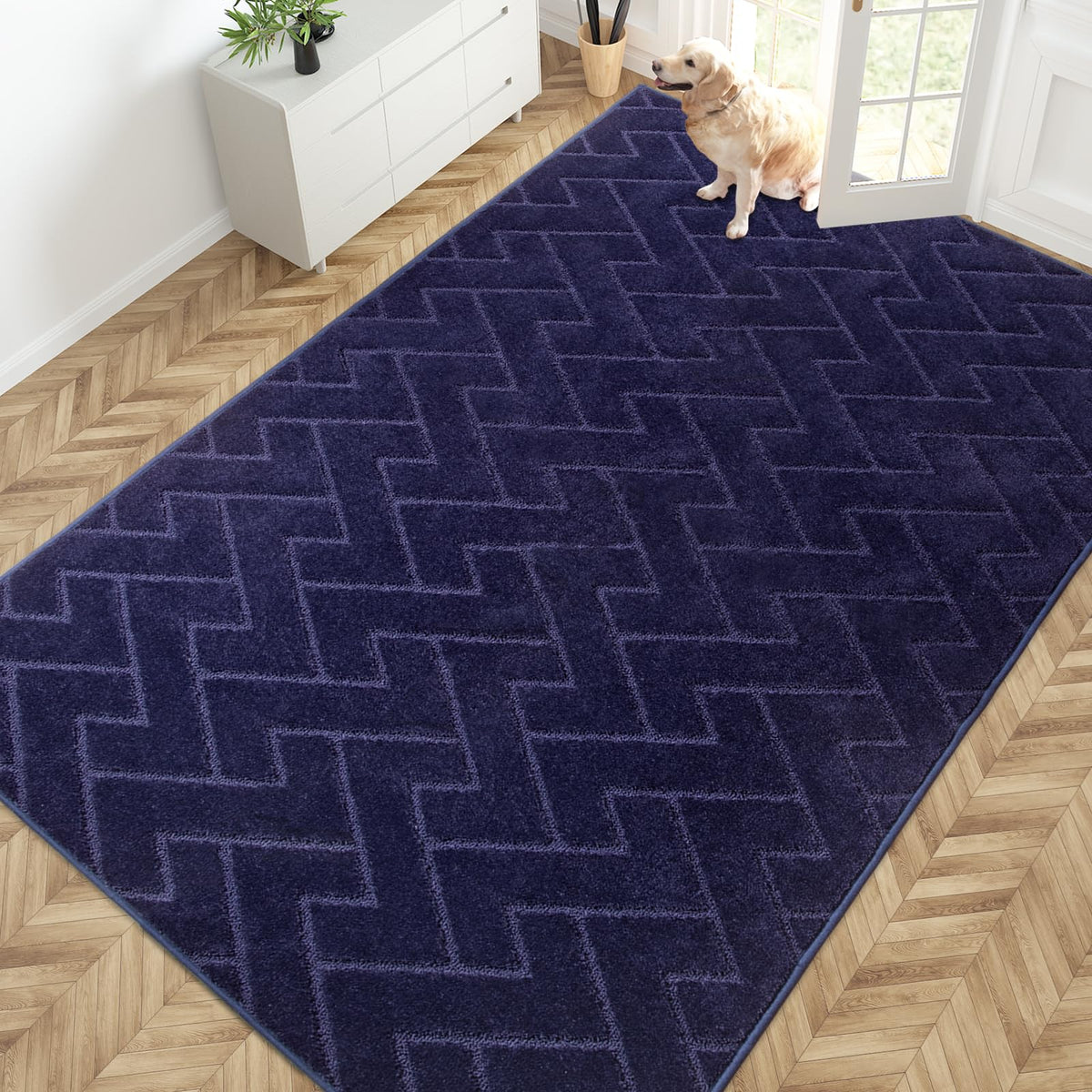 PURRUGS Dirt Trapping Door Mat Indoor Entrance, 20" x 31.5", Grey
