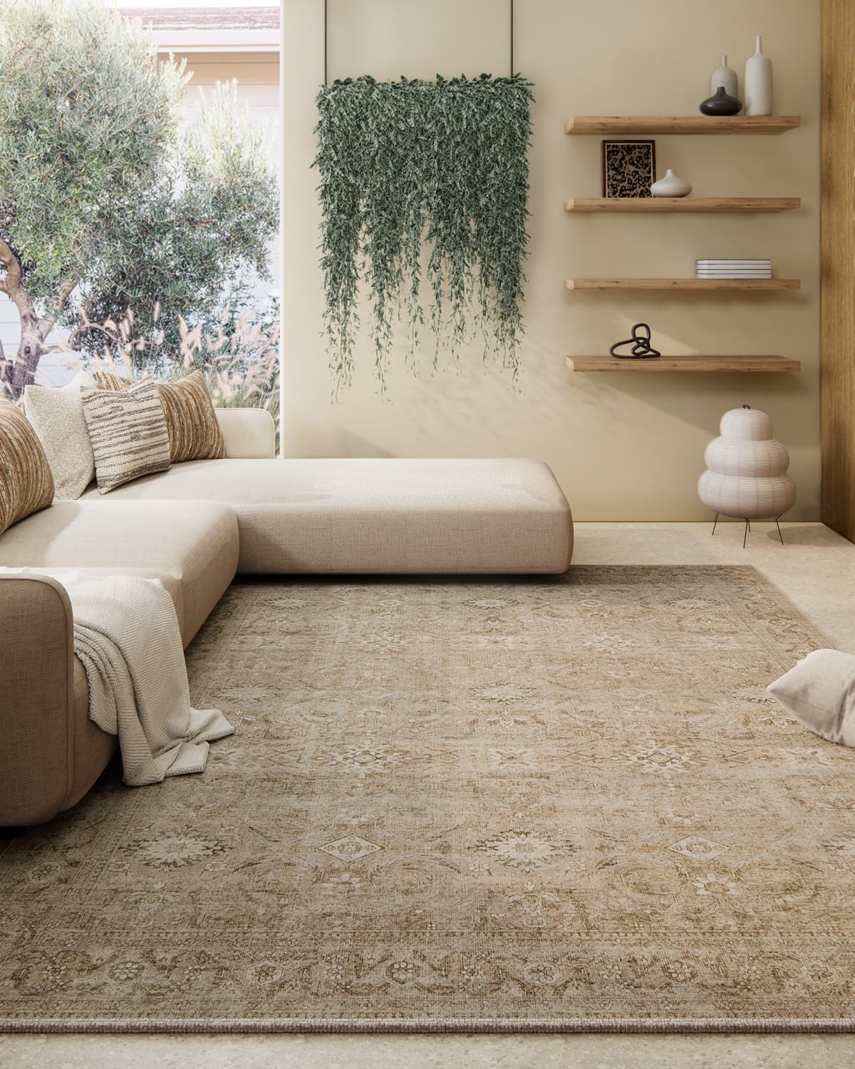 5x7 Area Rug for Living Room: Washable Bedroom Rug Non Slip Low Pile Carpet