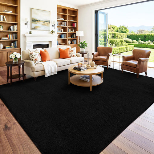 4x6 Black Area Rugs for Living Room, Non-Shedding Memory Foam Carpet