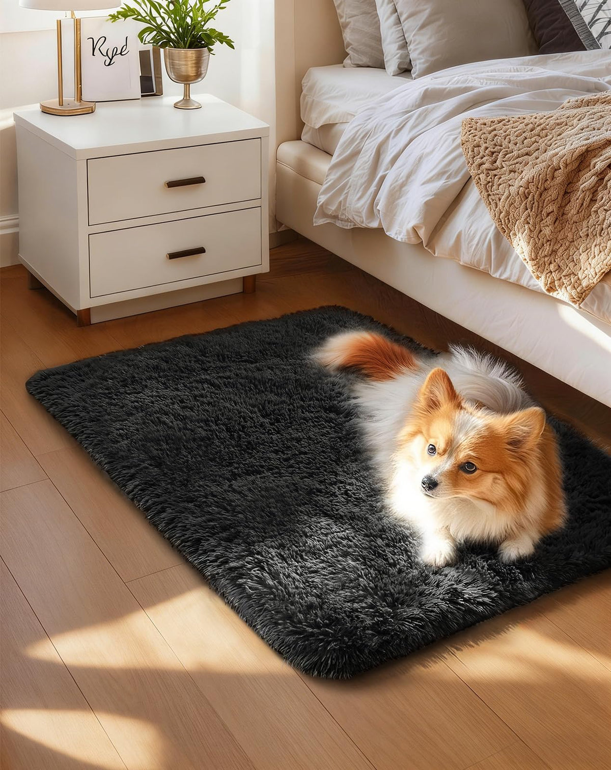 Ophanie Area Rugs for Bedroom, Christmas Upgrade Non-Slip Ivory Fluffy Soft Shag Living Room Carpet, Indoor Floor 4x6 Fuzzy Shaggy Plush Nursery Rug for Kids Dorm Decor with Over 99 pcs Pile fibers