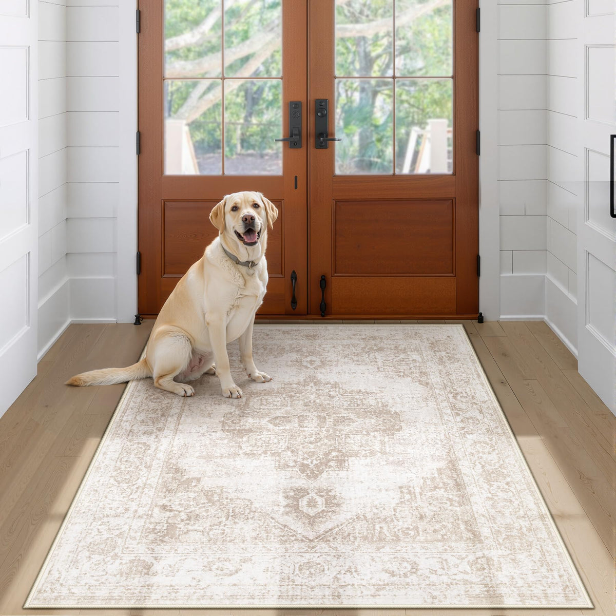 Area Rug 5x7 Vintage Rug: Washable Indoor Medallion Rugs Low Pile Distressed Floor Carpet Retro Accent Rug for Living Room Bedroom Kitchen Dining Table Home Office(Beige, 5'x7')