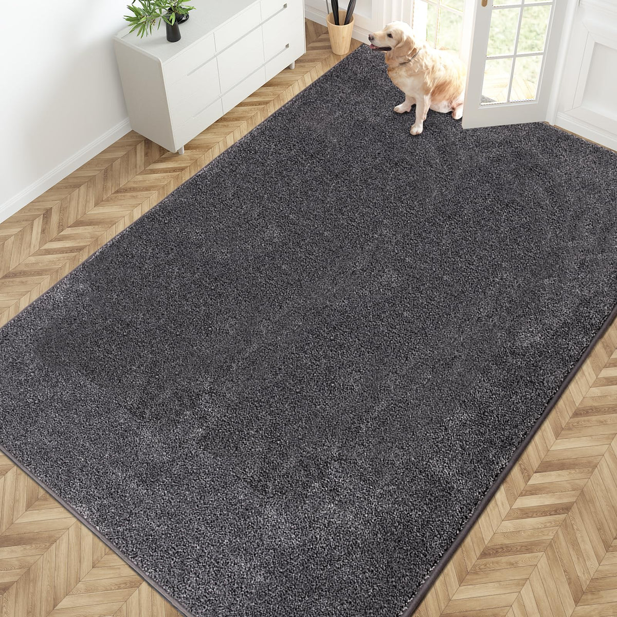 PURRUGS Dirt Trapping Indoor Door Mat, 20" x 31.5", Bluish Grey-Black