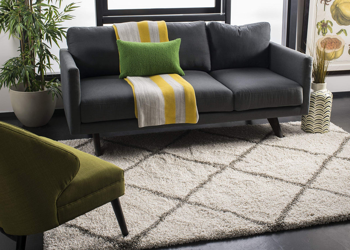 SAFAVIEH Hudson Shag Accent Rug 3'x5', Soft Plush Grey & Beige SGH281J