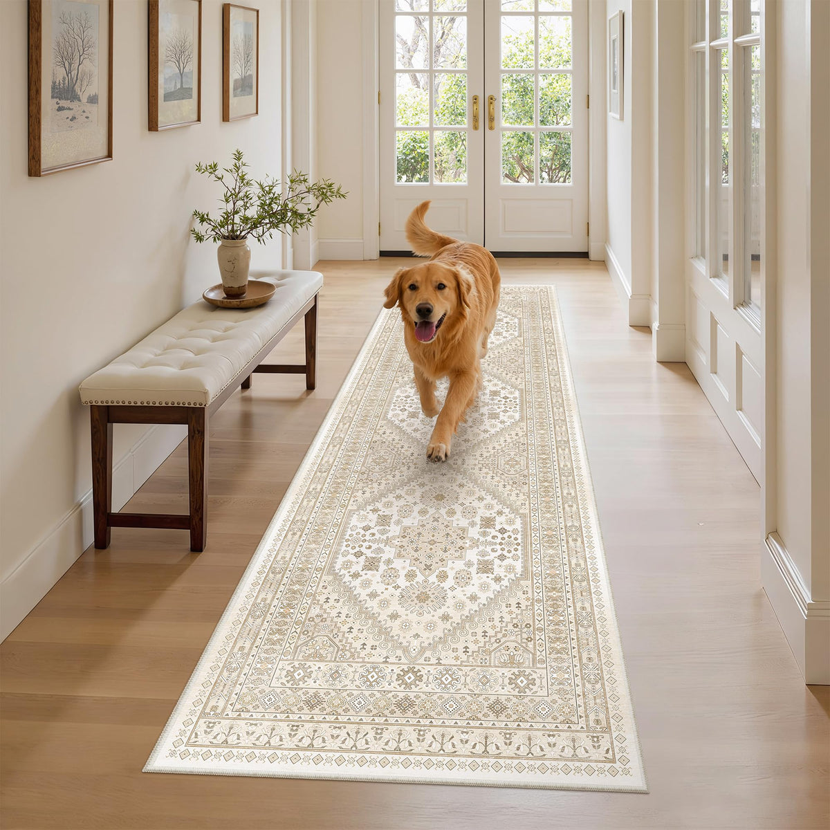 zesthome 5x7 Area Rugs for Living Room,Large Washable Rug,Orange