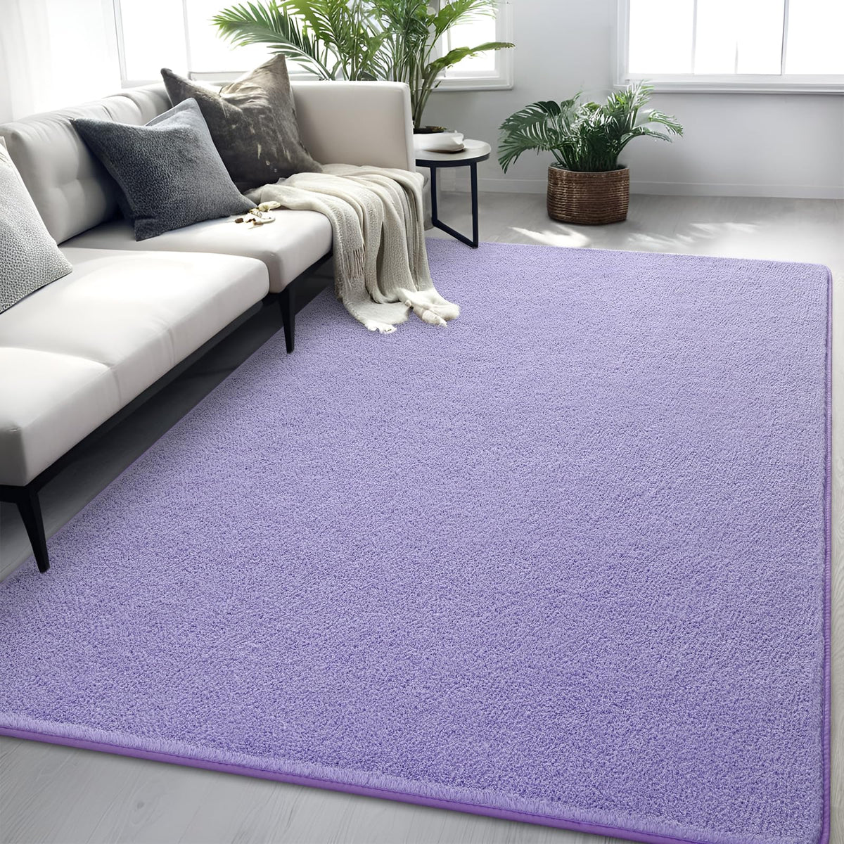 4x6 Grey Area Rug Modern Aesthetic Minimalist