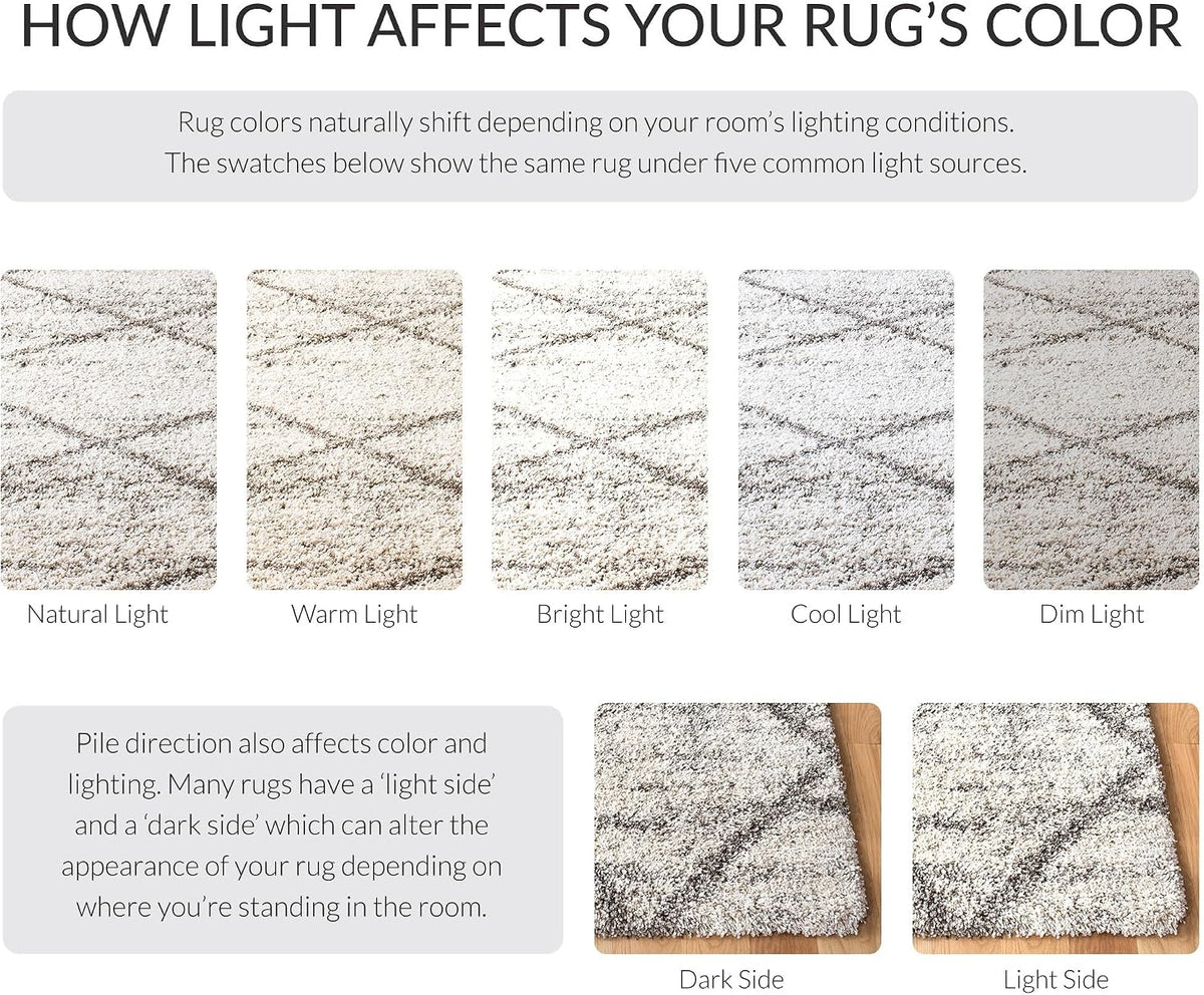 SAFAVIEH Hudson Shag Accent Rug 3'x5', Soft Plush Grey & Beige SGH281J