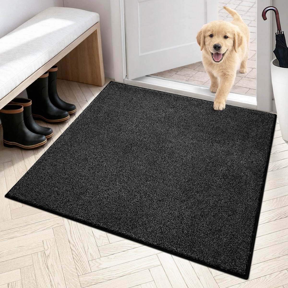 PURRUGS Dirt Trapping Indoor Door Mat, 20" x 31.5", Bluish Grey-Black
