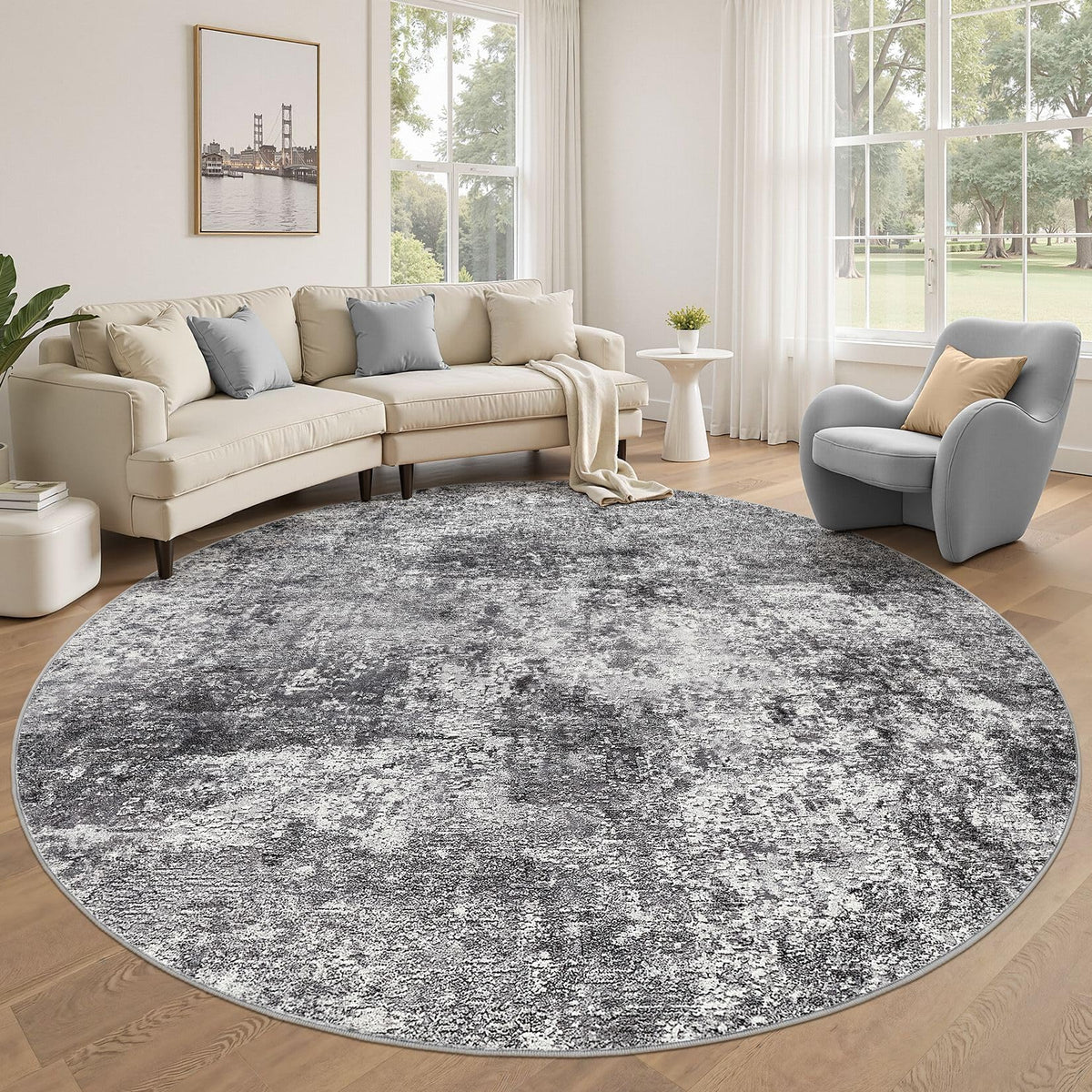 DMOYEST Area Rug Living Room Rugs 5x7 Washable Abstract Beige Blue Carpet