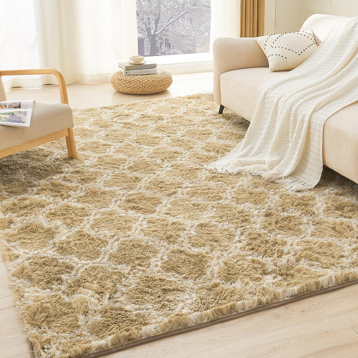 Litanika 4x6 Shag Area Rug for Bedroom, Tie-Dyed Beige Plush Rug