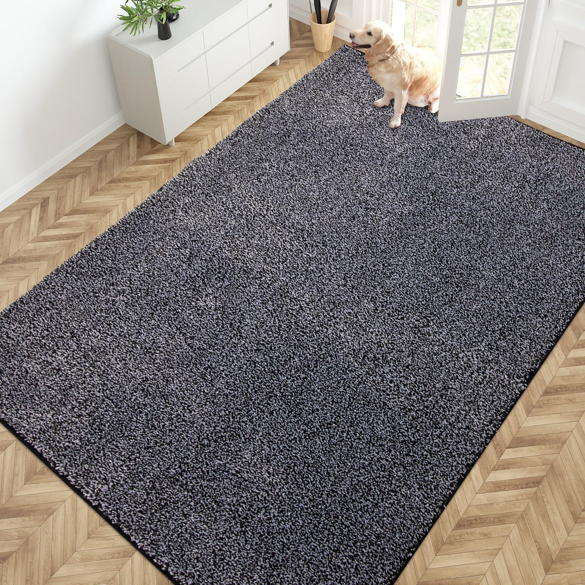 PURRUGS Dirt Trapping Indoor Door Mat, 20" x 31.5", Bluish Grey-Black