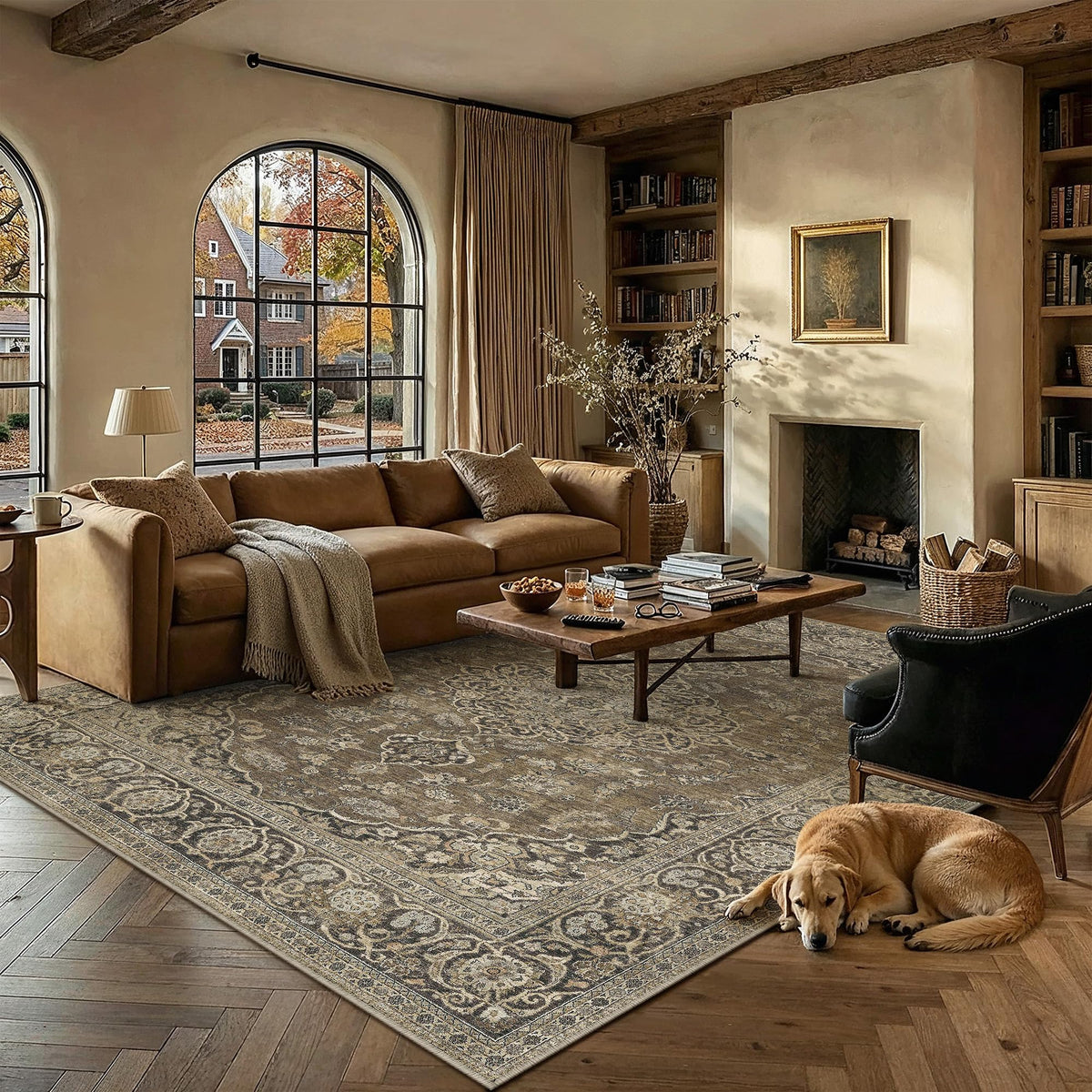 PureCozy 5x7 Beige Area Rug for Living Room Vintage Distressed