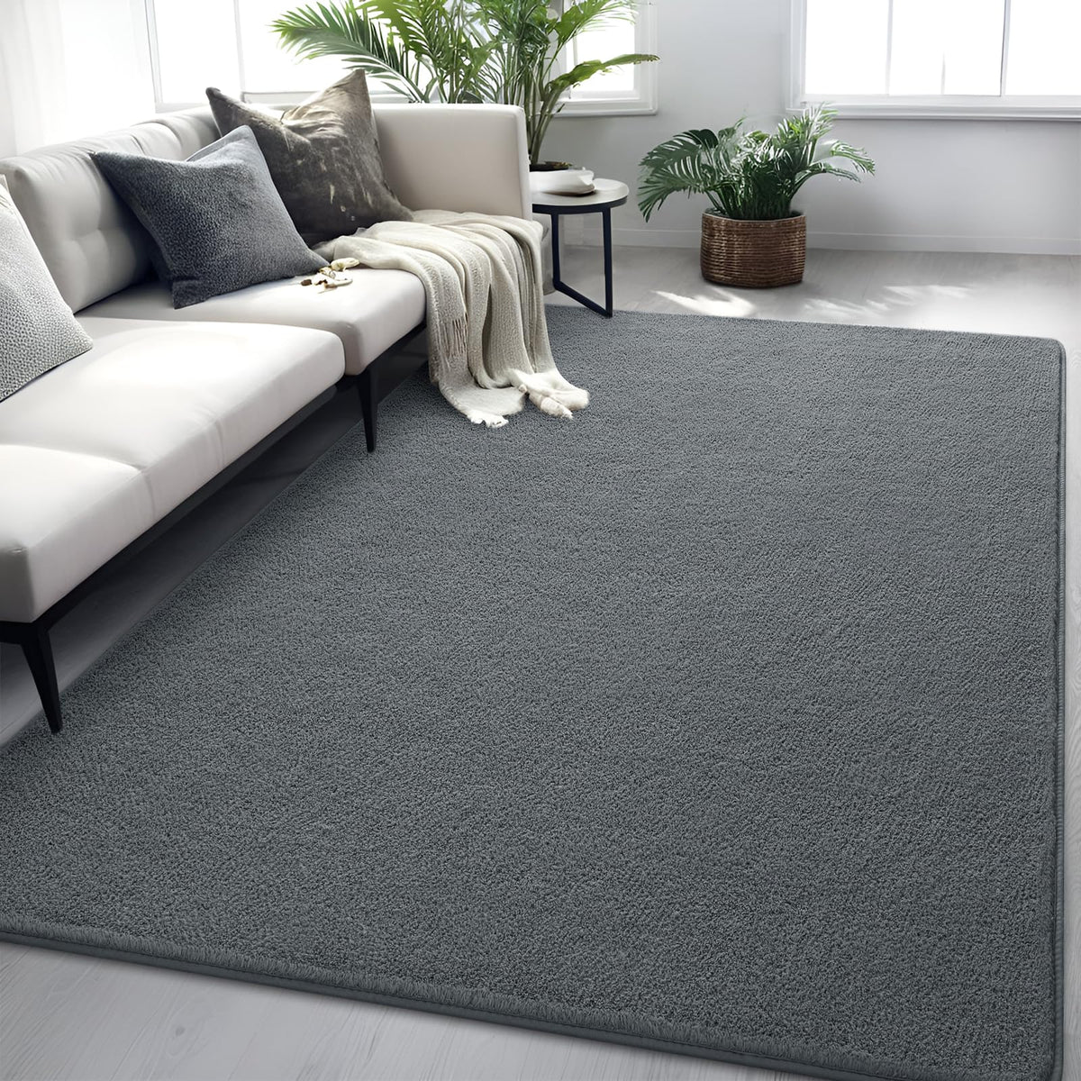 4x6 Grey Area Rug Modern Aesthetic Minimalist