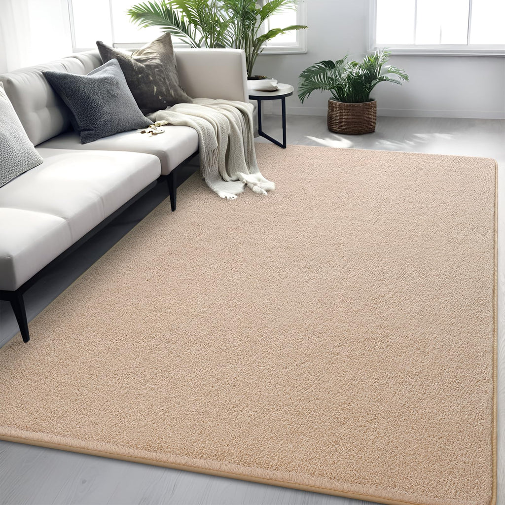 4x6 Grey Area Rug Modern Aesthetic Minimalist