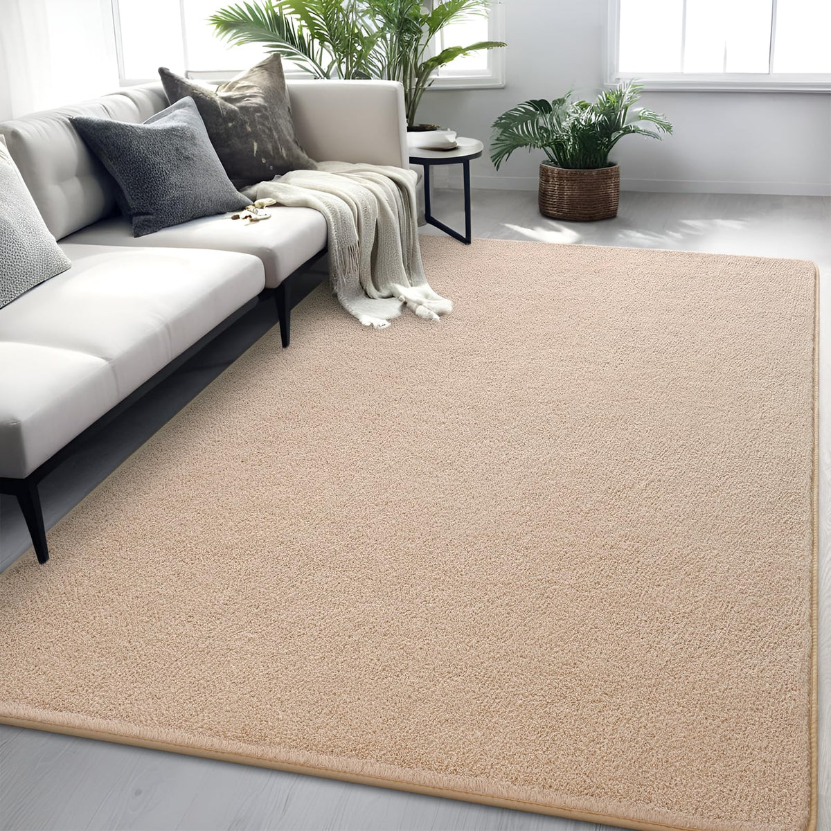 4x6 Grey Area Rug Modern Aesthetic Minimalist