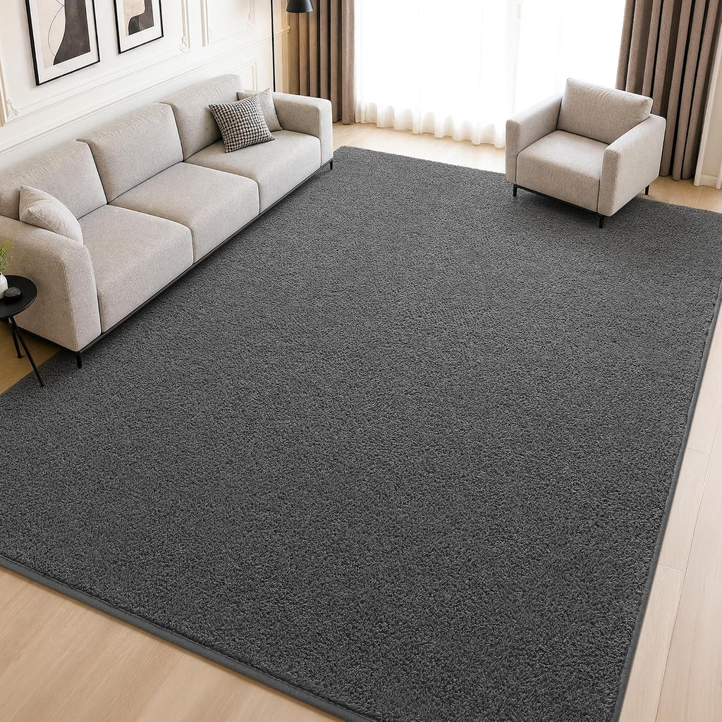 Foxmas 4x6 Dark Grey Modern Minimalist Area Rugs