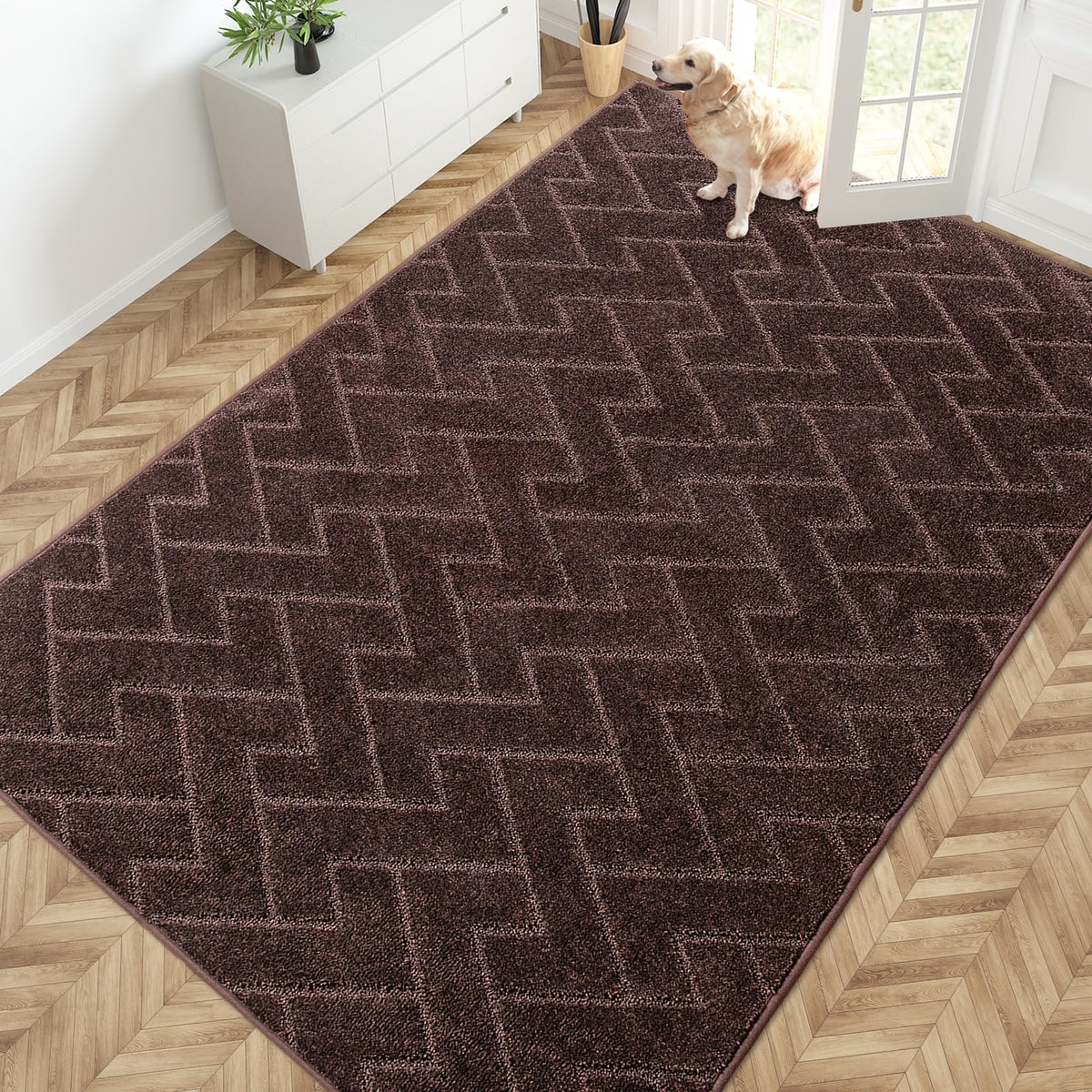 PURRUGS Dirt Trapping Door Mat Indoor Entrance, 20" x 31.5", Grey