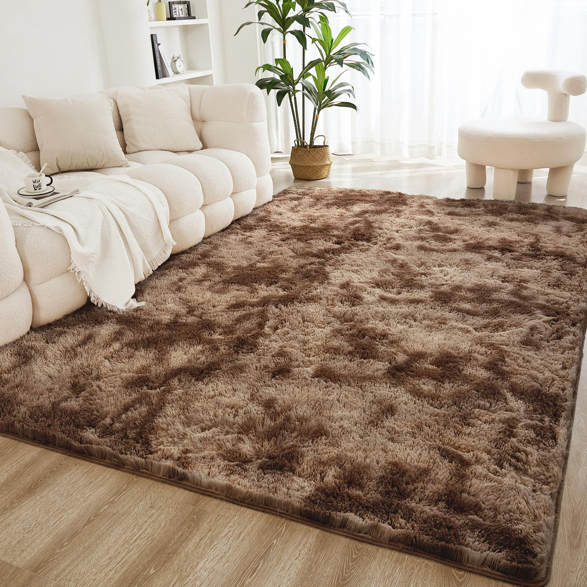 Litanika 4x6 Shag Area Rug for Bedroom, Tie-Dyed Beige Plush Rug