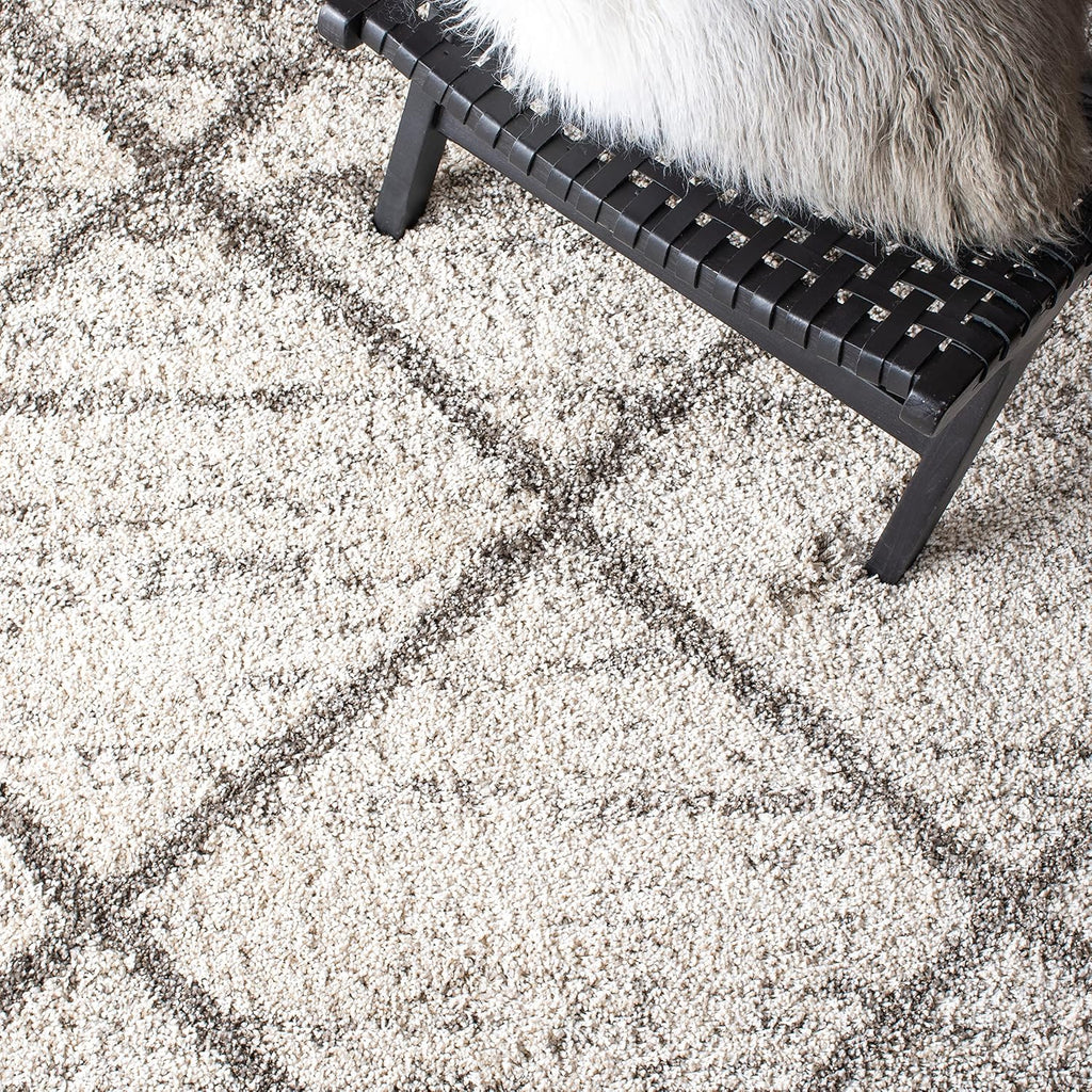 SAFAVIEH Hudson Shag Accent Rug 3'x5', Soft Plush Grey & Beige SGH281J
